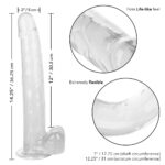 Size Queen 12" Clear - Image 3