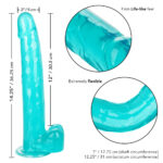 Size Queen 12" Blue - Image 3