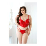 Carmen Wetlook Cropped Bustier & Panty 3X/4X - Image 2