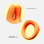 Vush Orb Vibrating Pleasure Ring - Image 3