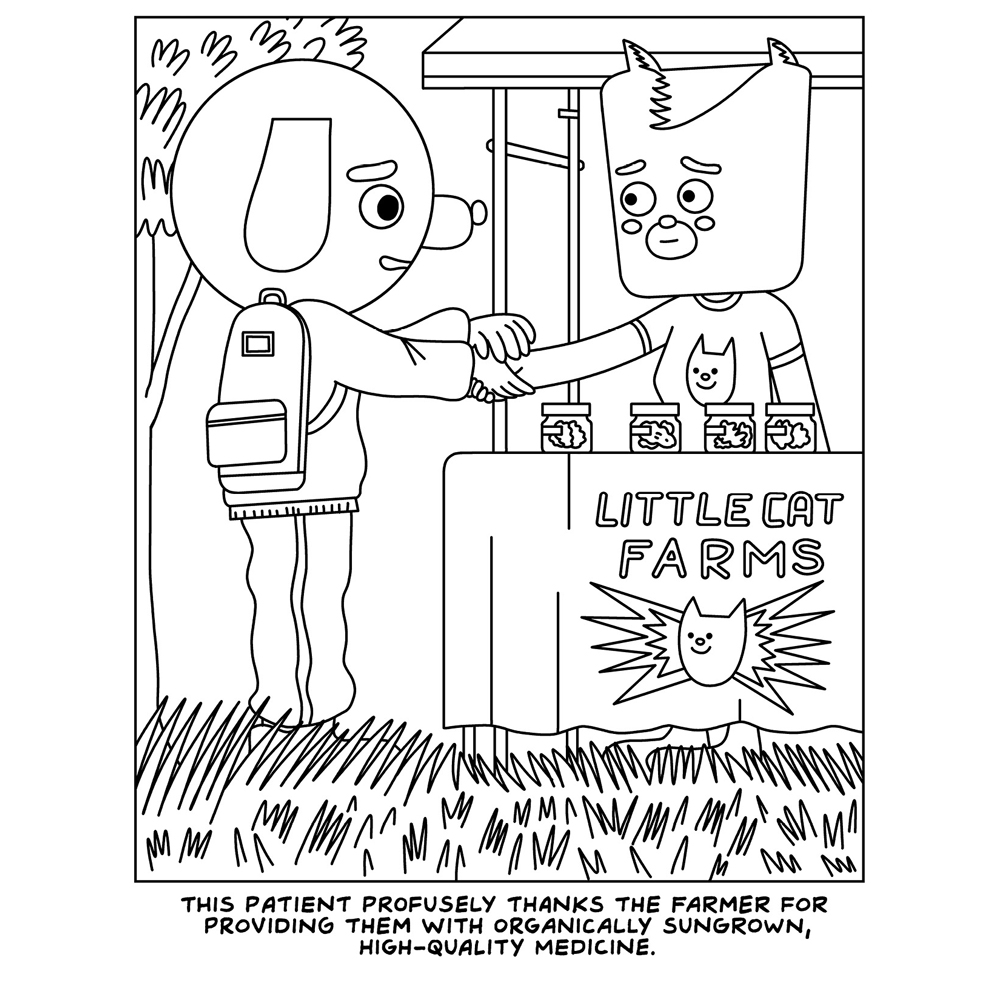 A Visit To The Cannabis Farm - Image 3