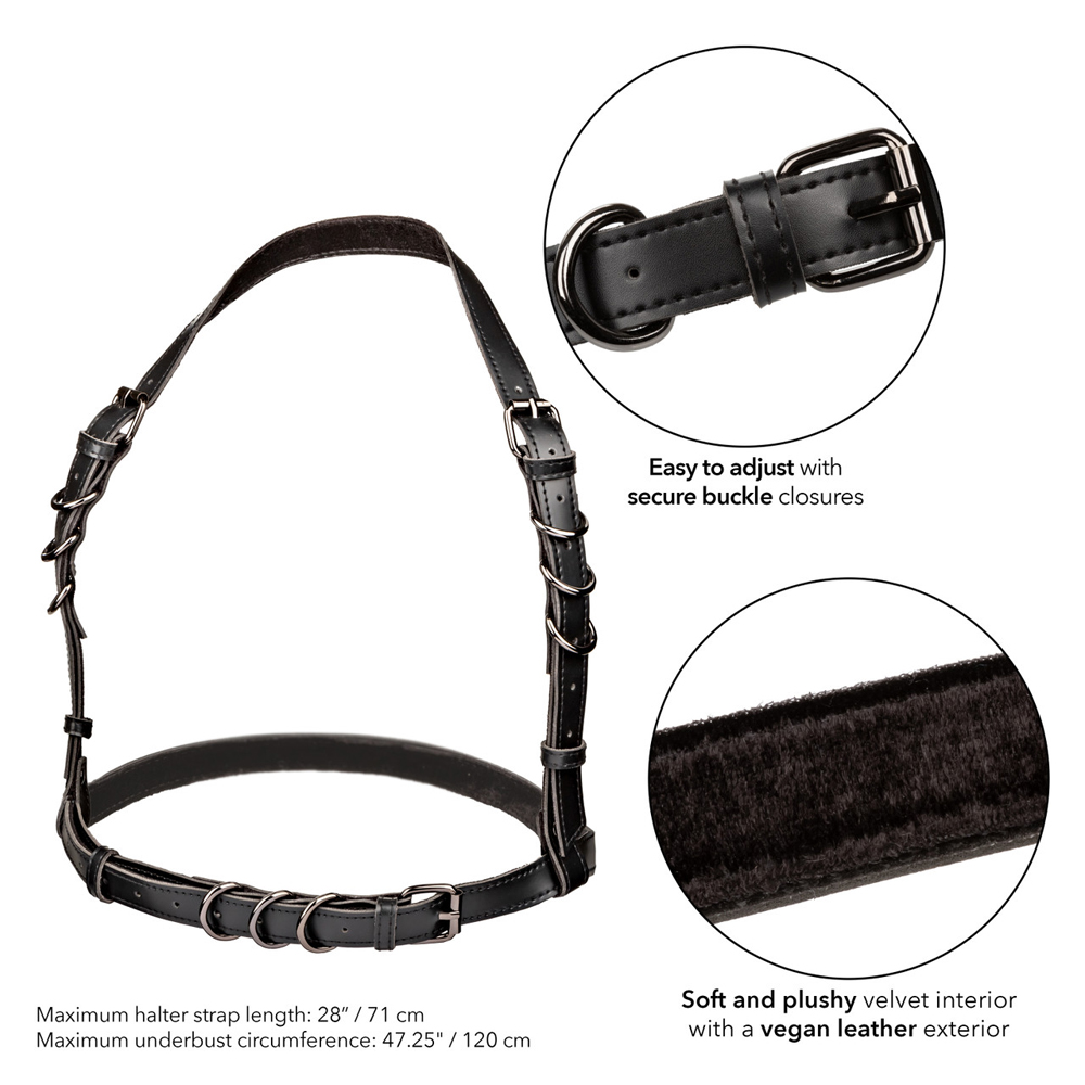Euphoria Collection Plus Size Halter Buckle Harness - Image 3