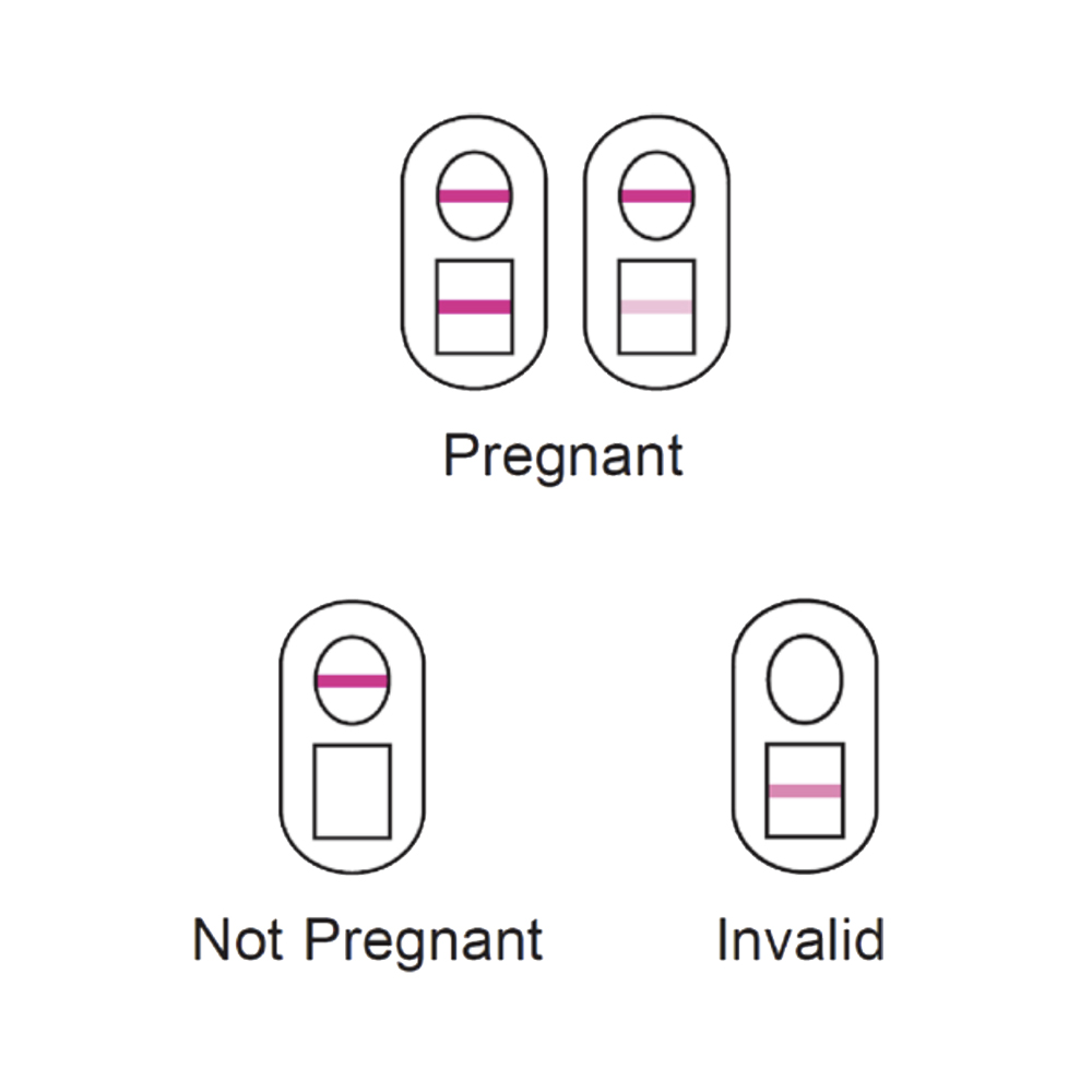 Versea Easy Lab Pregnancy Test - 2 Test Pack - Image 3