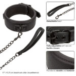 Nocturnal Collection Collar & Leash - Image 3