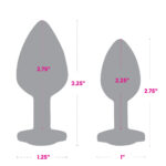 Gemsations 2Pc Rainbow Chrome Anal Training Set With Heart Base - Image 3